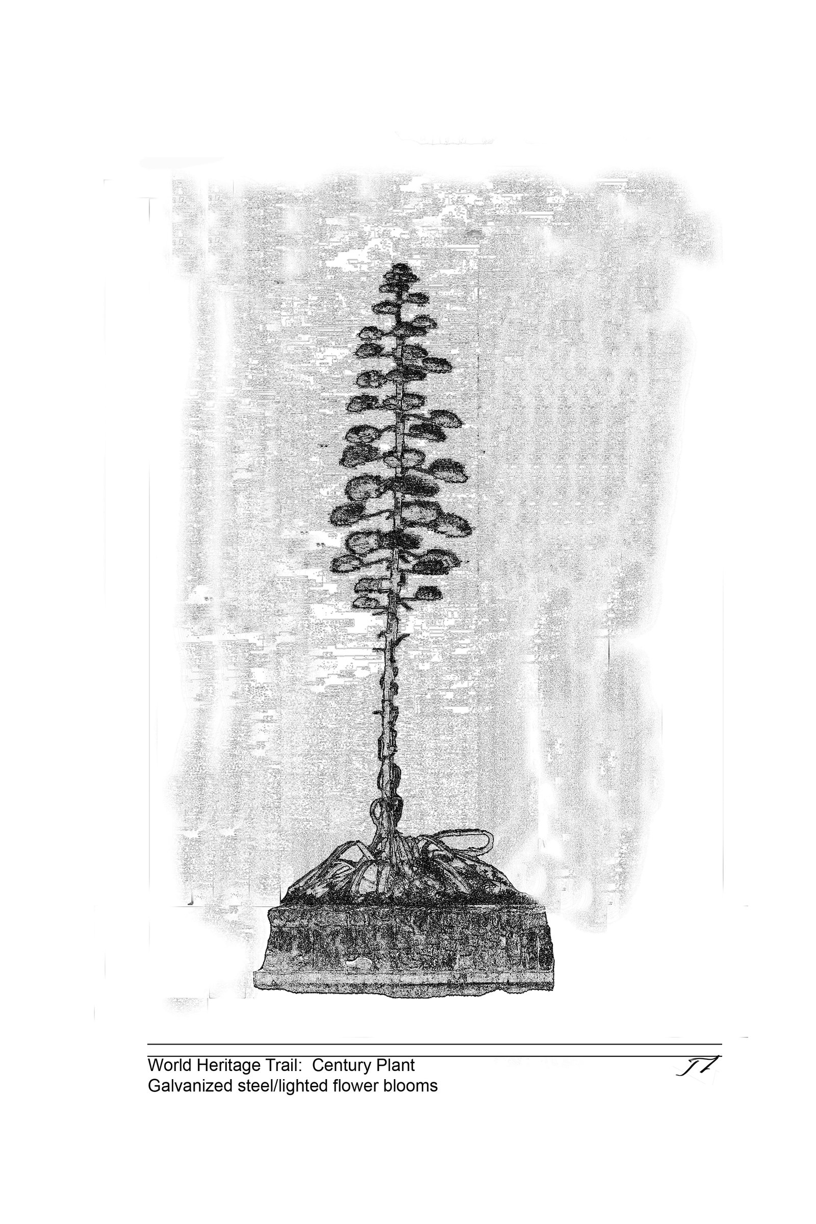 World Heritage Trail — Century Plant
