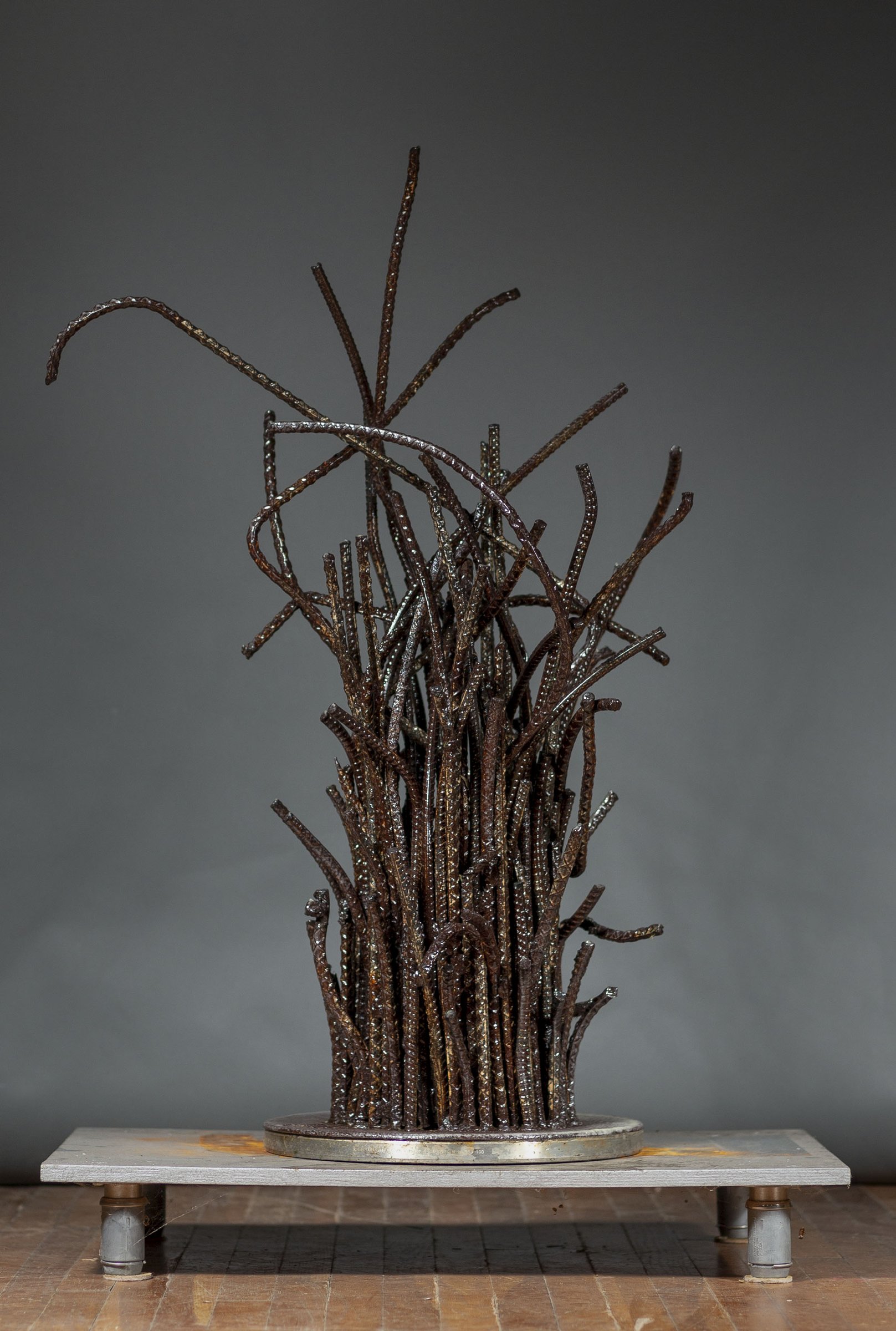Tree Sculptures — Additional Works